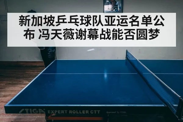 Singapore table tennis player