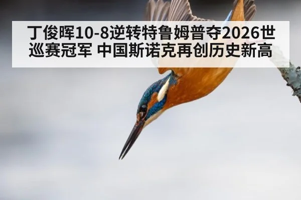 丁俊晖10-8逆转特鲁姆普夺2026世巡赛冠军 中国斯诺克再创历史新高